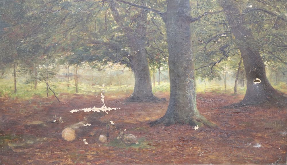 English School c.1900, oil on canvas, Woodland scene, 30 x 48cm, unframed